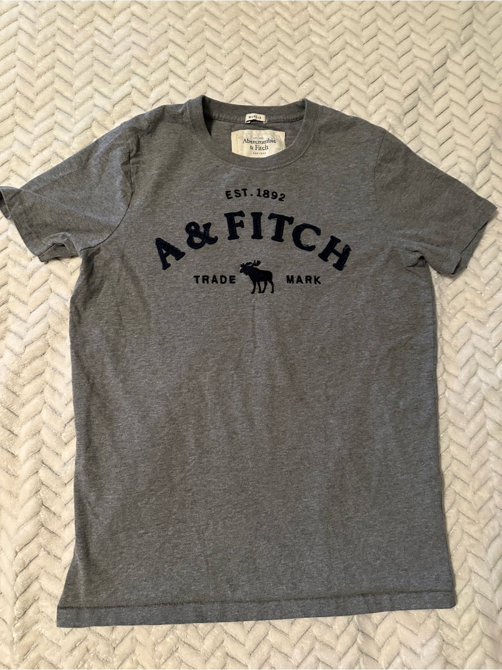 Retro Abercrombie & Fitch Gray Crewneck Logo Tee